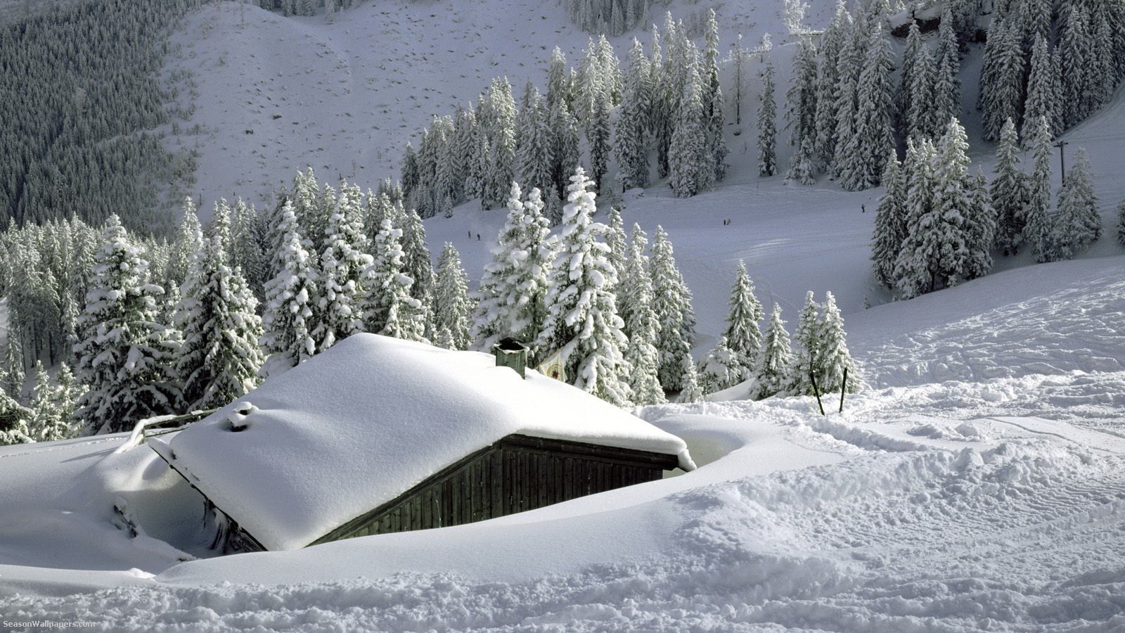 house-covered-with-snow-in-the-mountains-in-the-forest_1600x900